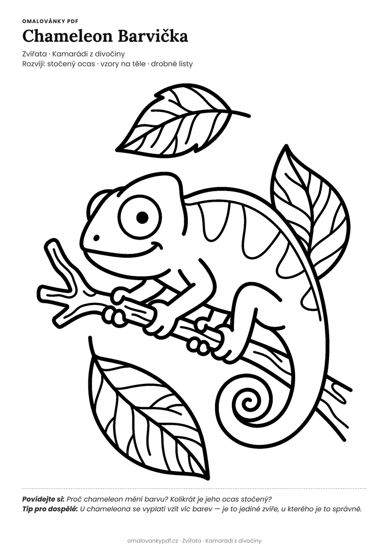 Omalovánka chameleon k vytisknutí pro děti 5–6 let – Chameleon Barvička – PDF v plné velikosti k tisku zdarma
