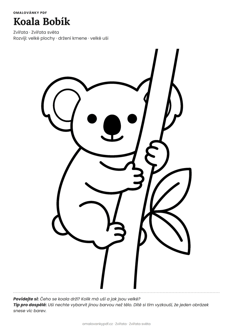 Omalovánka koala k vytisknutí pro děti 3–4 roky – Koala Bobík – PDF v plné velikosti k tisku zdarma
