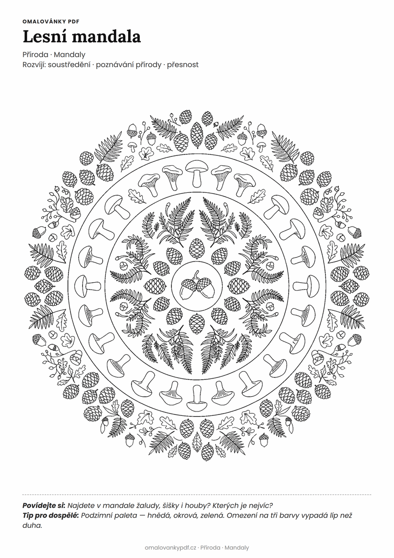 Omalovánka lesní mandala k vytisknutí pro děti 6–8 let – Lesní mandala – PDF v plné velikosti k tisku zdarma