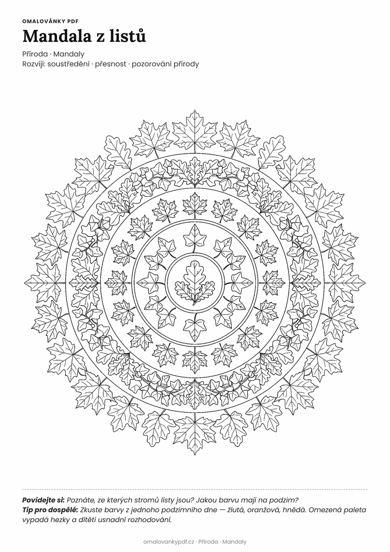 Omalovánka mandala listy k vytisknutí pro děti 6–8 let – Mandala z listů – PDF v plné velikosti k tisku zdarma