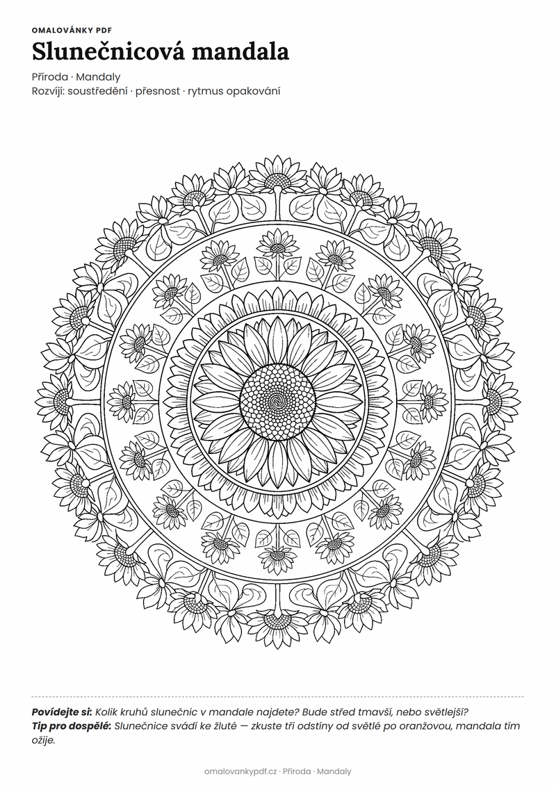 Omalovánka mandala slunečnice k vytisknutí pro děti 6–8 let – Slunečnicová mandala – PDF v plné velikosti k tisku zdarma